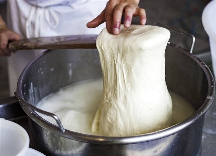 طريقة عمل الجبنة الموتزريلا في البيت