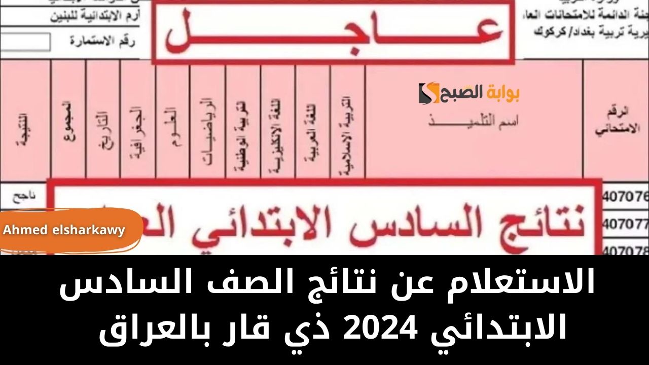 IMG 20240529 WA0008