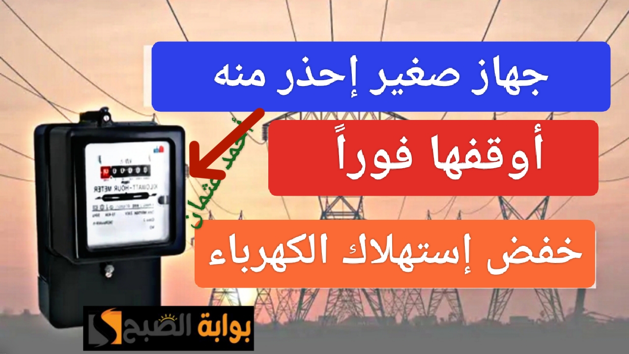 IMG ٢٠٢٤٠٥٠١ ١٣٤٢٤٦