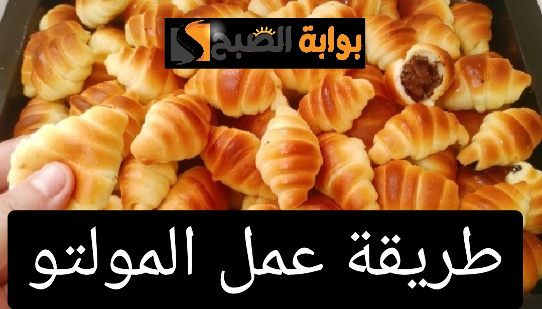IMG ٢٠٢٤٠٥٠٣ ٢٠٥٥٤٩