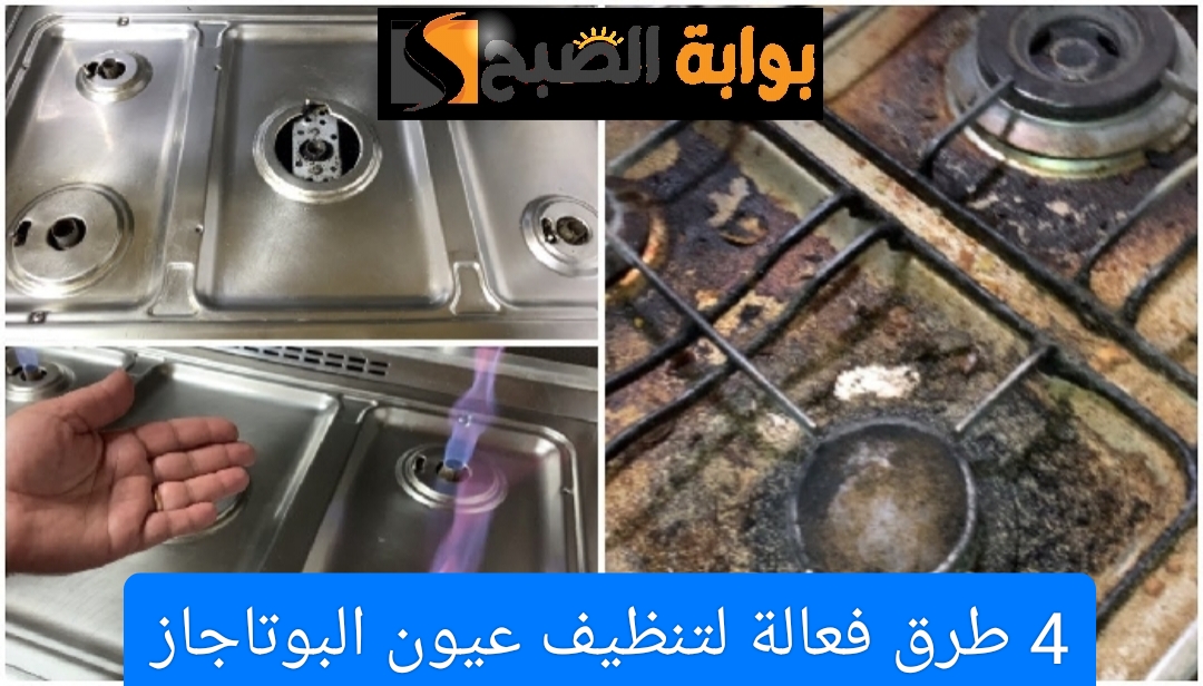 IMG ٢٠٢٤٠٥٠٣ ٢١٤١٤٦