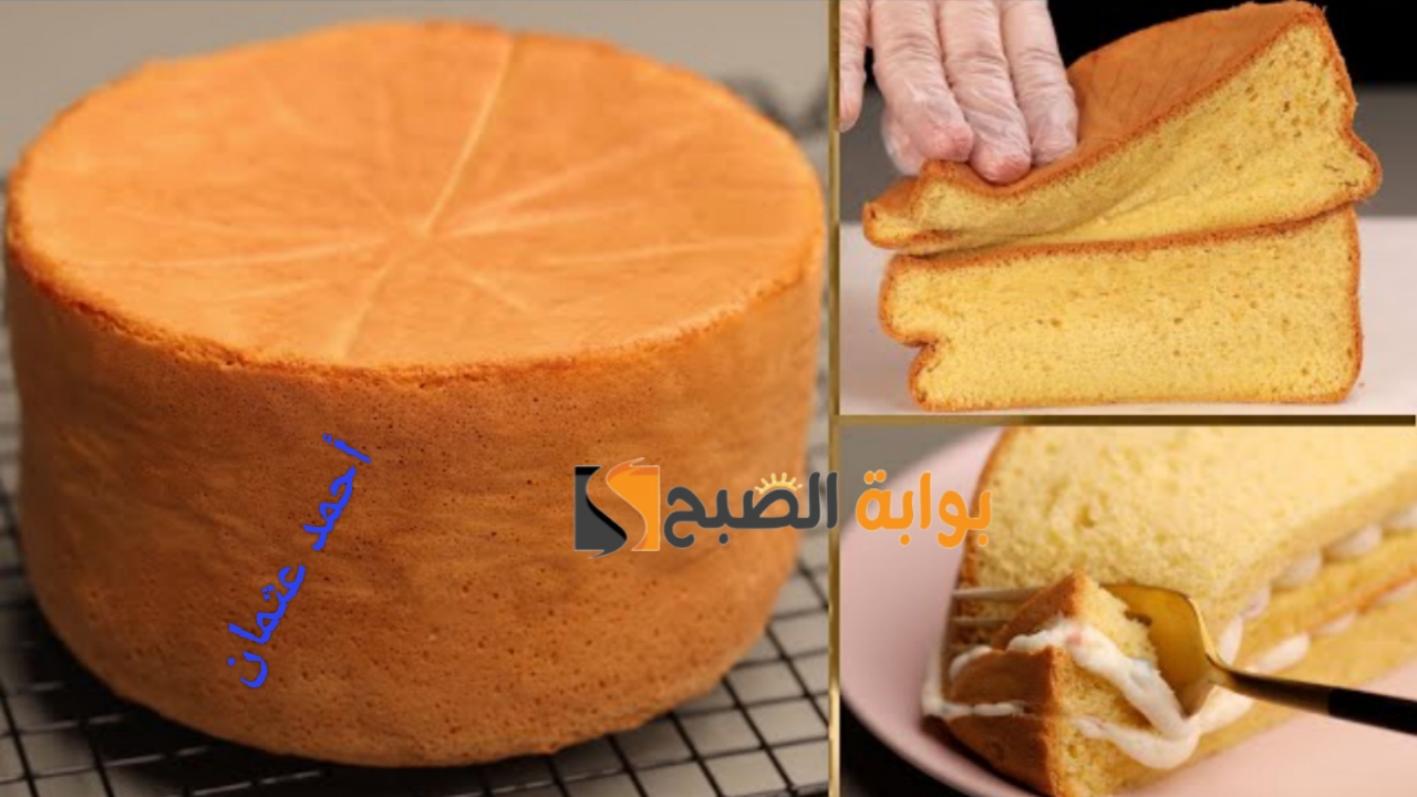 IMG ٢٠٢٤٠٥٠٤ ٢٠١٢٢٩