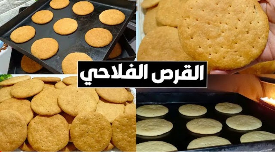 IMG ٢٠٢٤٠٥١٥ ٢١٥٦٢٢