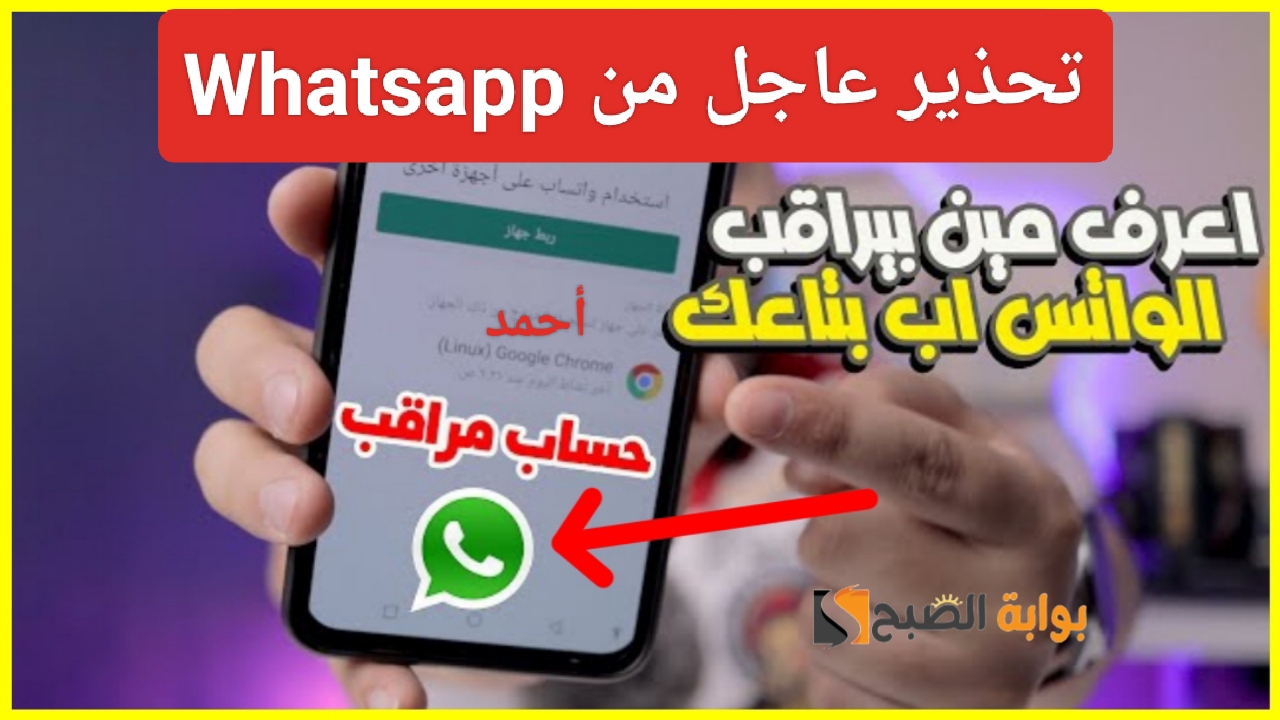 IMG ٢٠٢٤٠٥١٨ ٢٣٤١٣٧