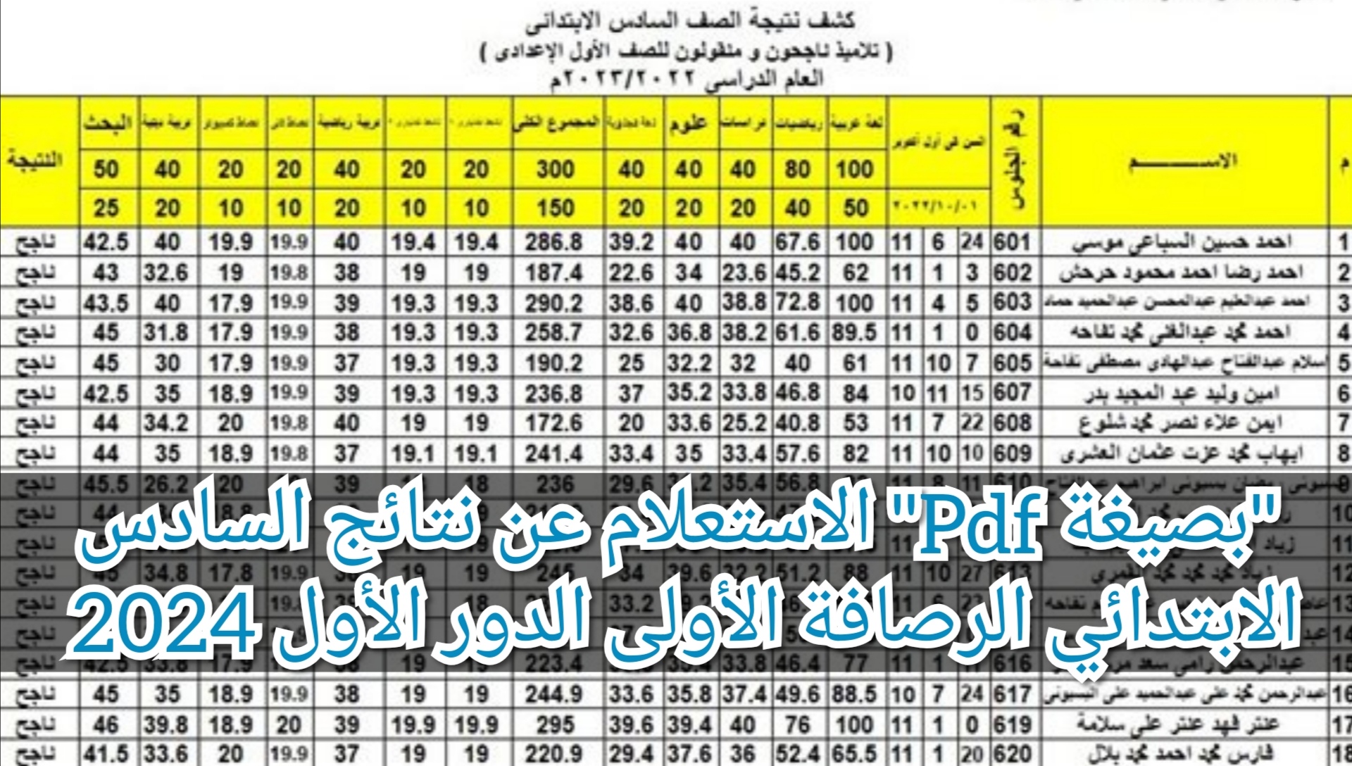 نتائج السادس الابتدائي الرصافة الأولي