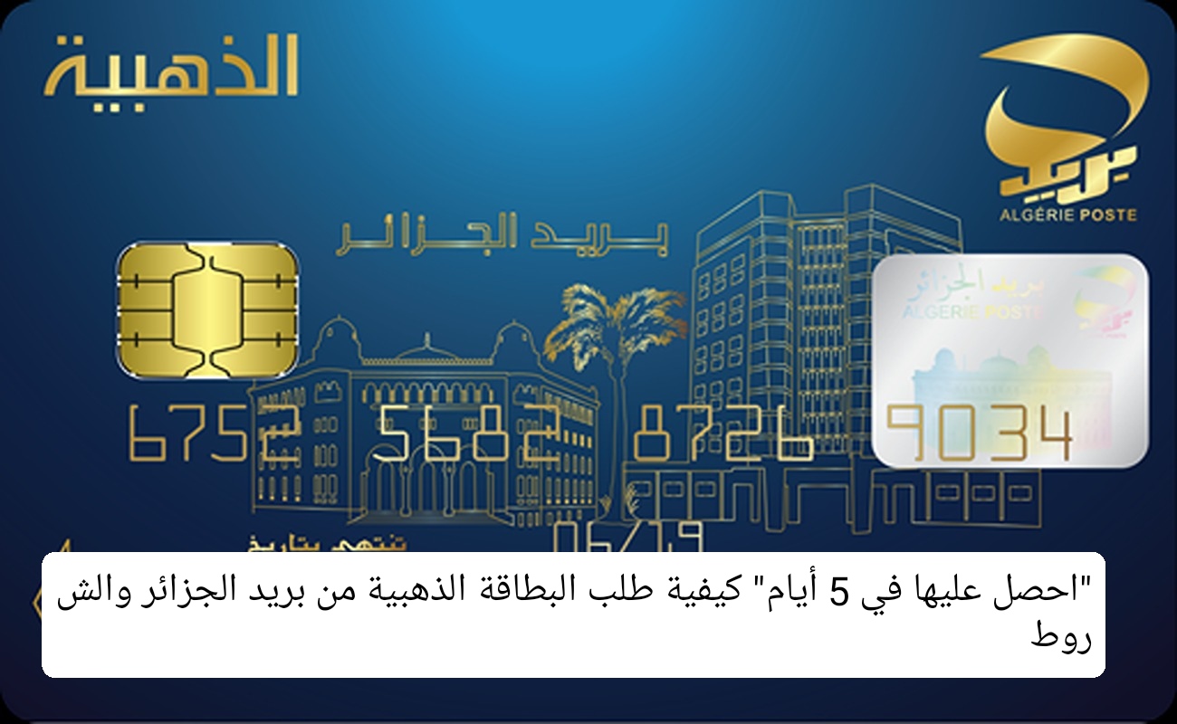 IMG ٢٠٢٤٠٥٢٥ ١١١٥٣١