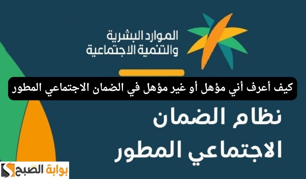 IMG ٢٠٢٤٠٥٢٧ ١٢٠٤٣١