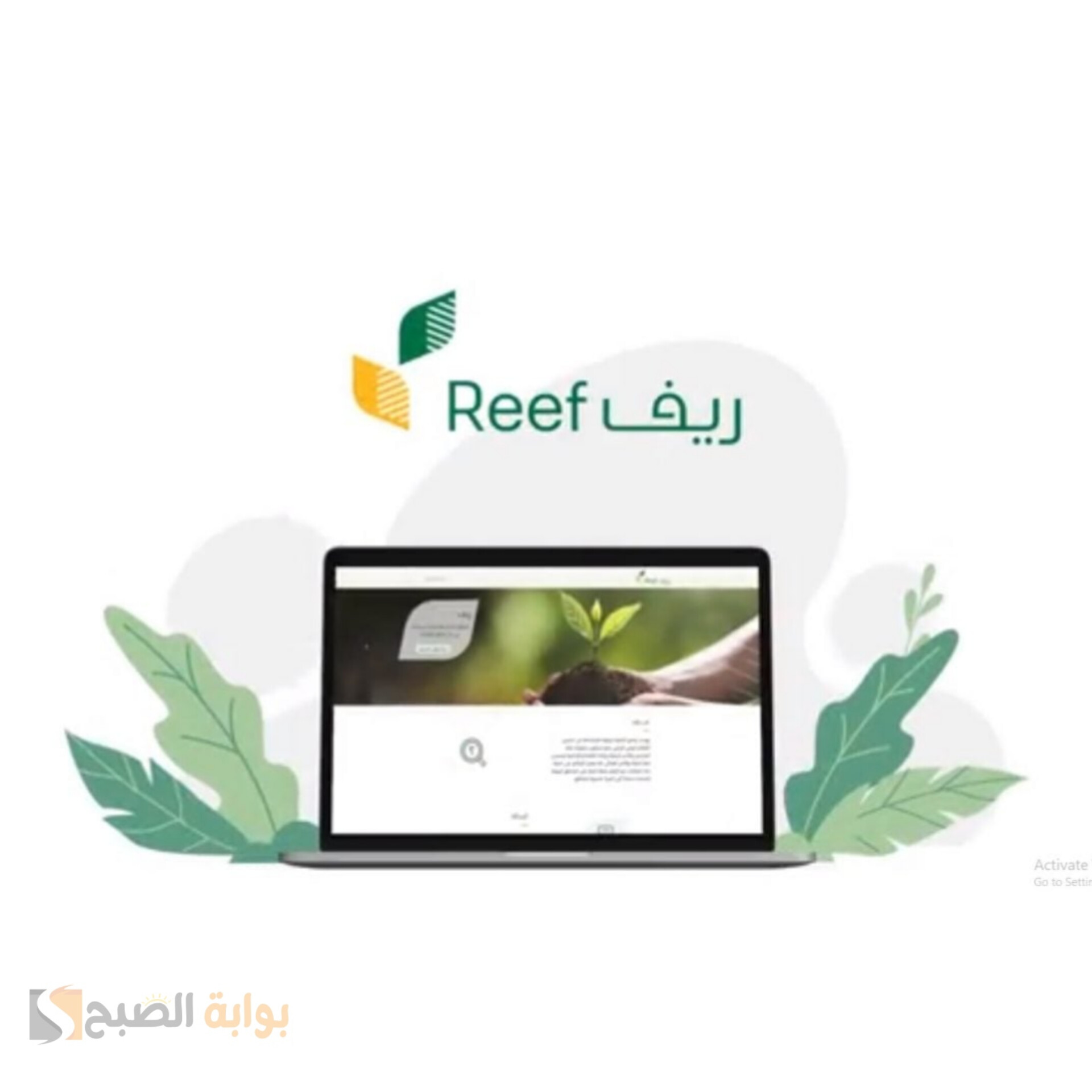 موعد صرف دعم ريف