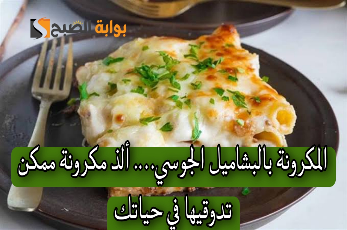 المكرونة بالبشاميل الجوسي…. ألذ مكرونة ممكن تدوقيها في حياتك