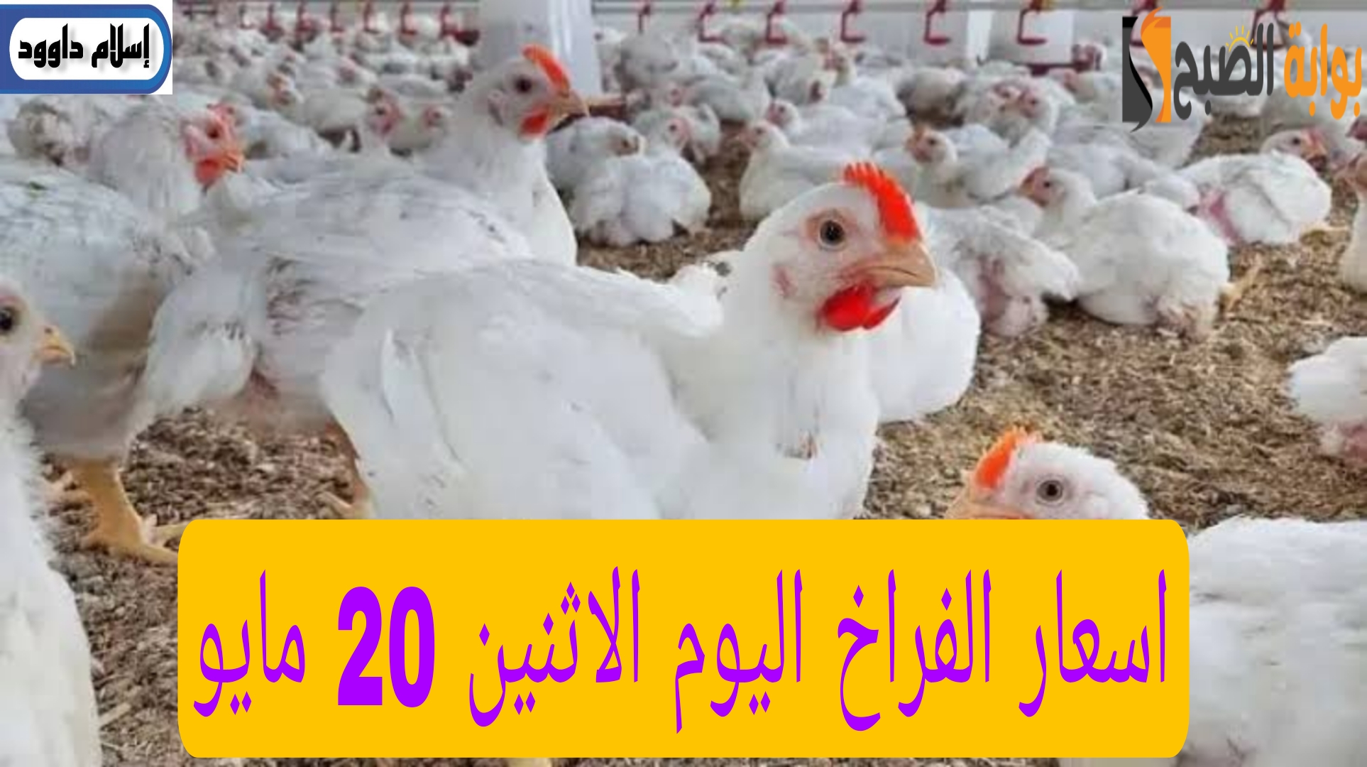Picsart 24 05 20 11 54 34 709