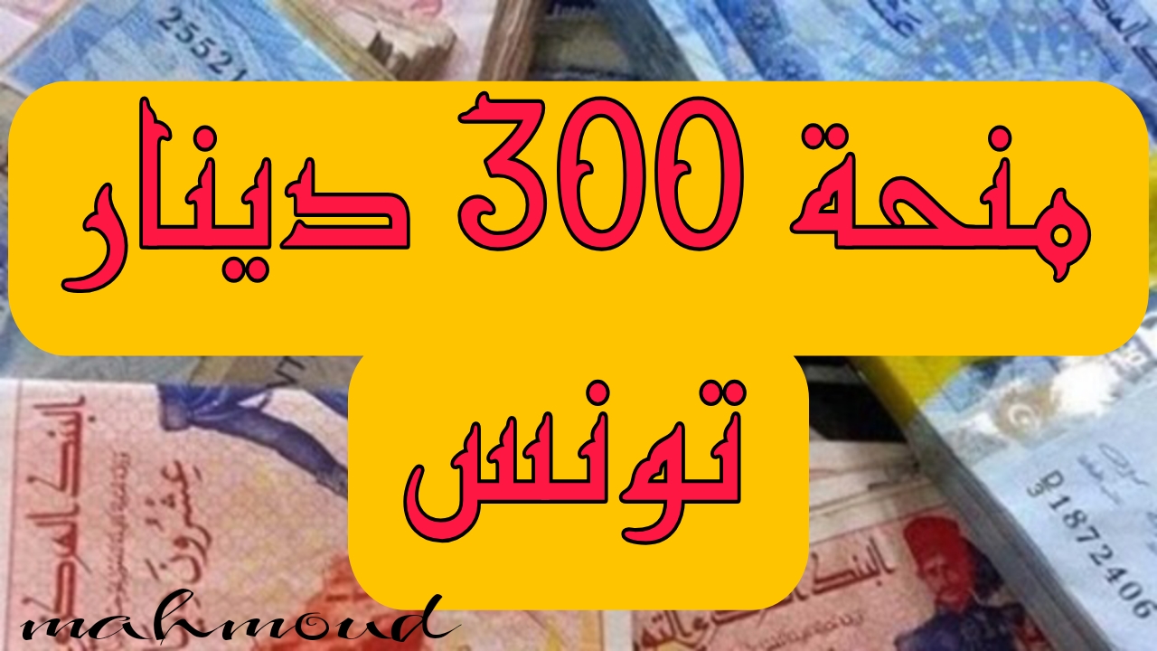 منحة 300 دينار 2024 تونس