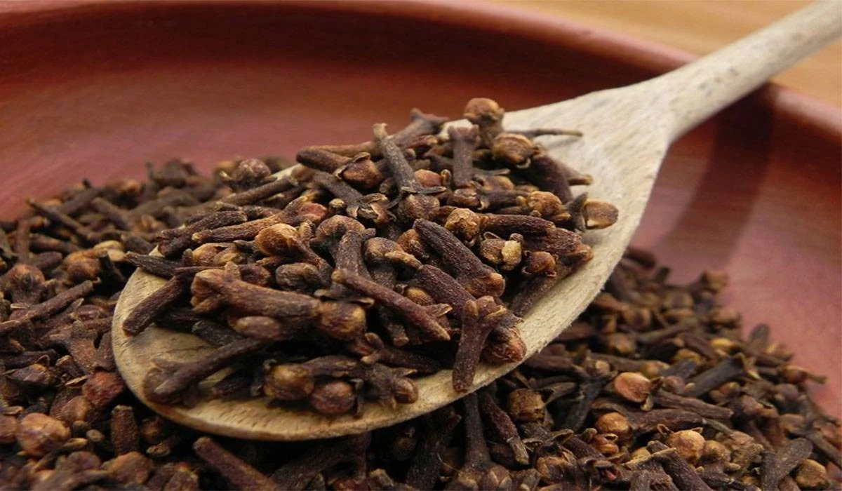 عطري بيتك بكل سهولة.. خطوات زراعة القرنفل داخل المنزل