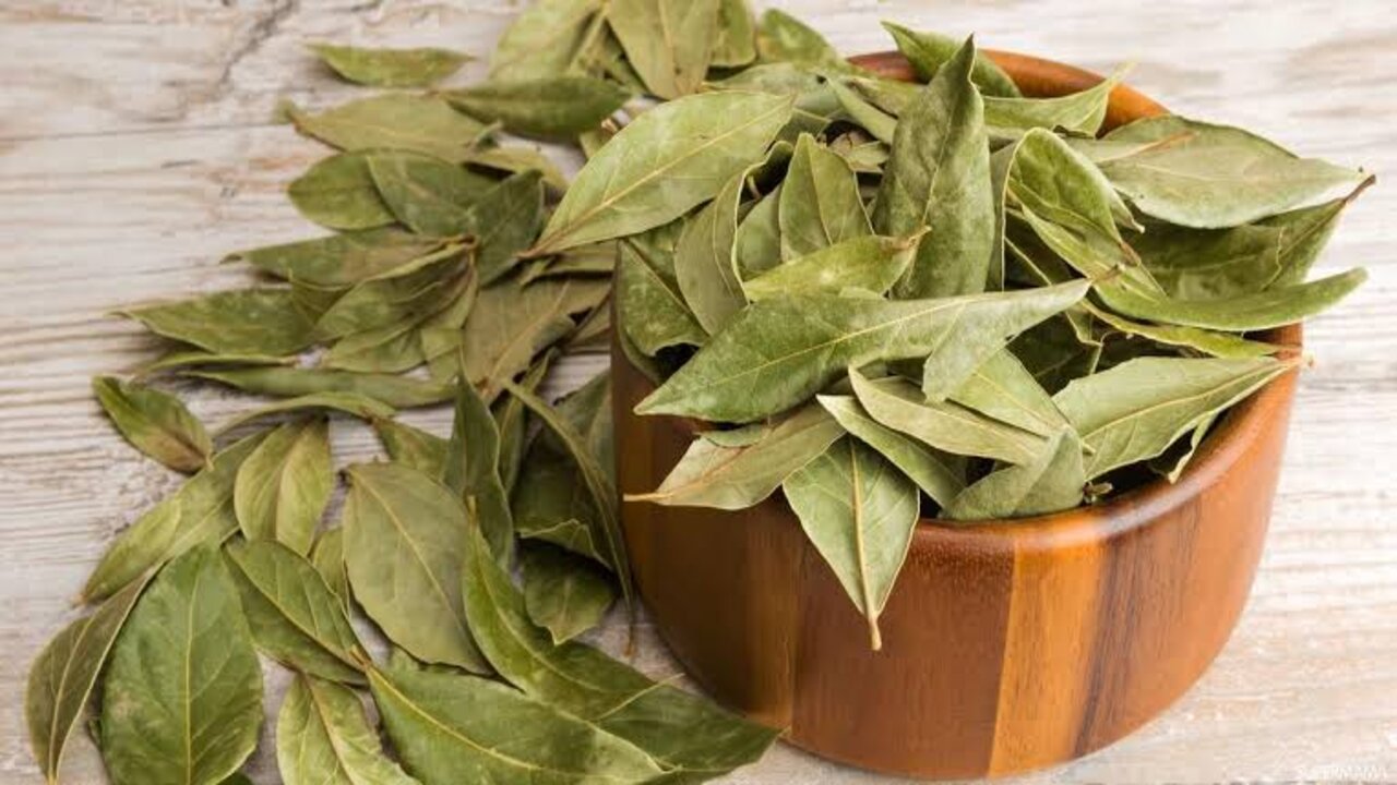 كريم النشا وورق الغار