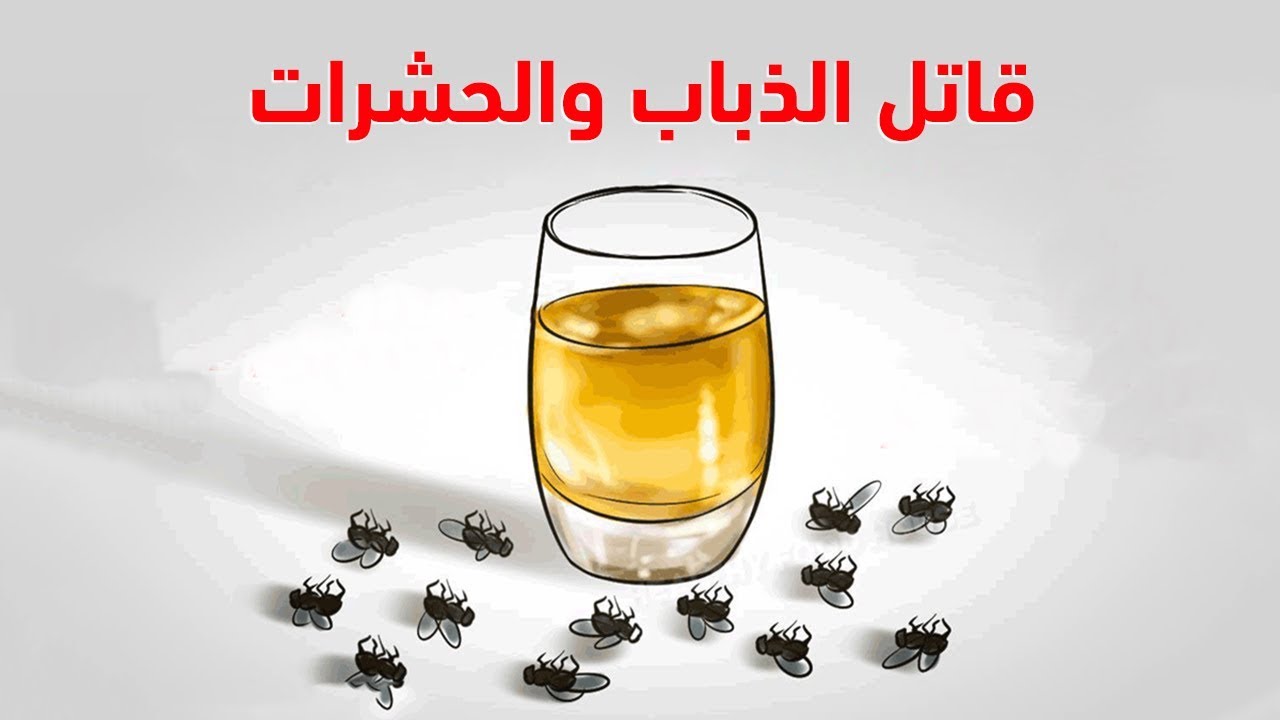 أسرع طريقة للتخلص من الذباب بدون مبيدات