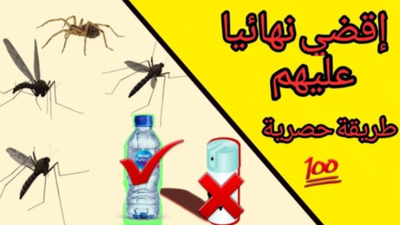 طرق عبقرية للتخلص من الناموس في الصيف