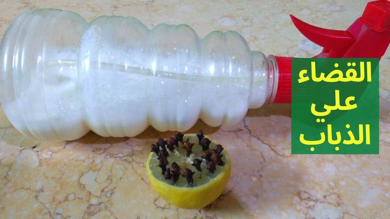 أسرع طريقة للتخلص من الذباب بدون مبيدات