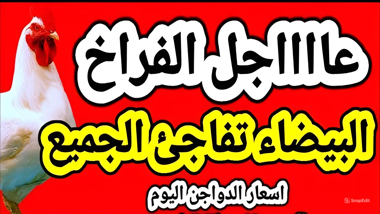 أسعار الفراخ اليوم