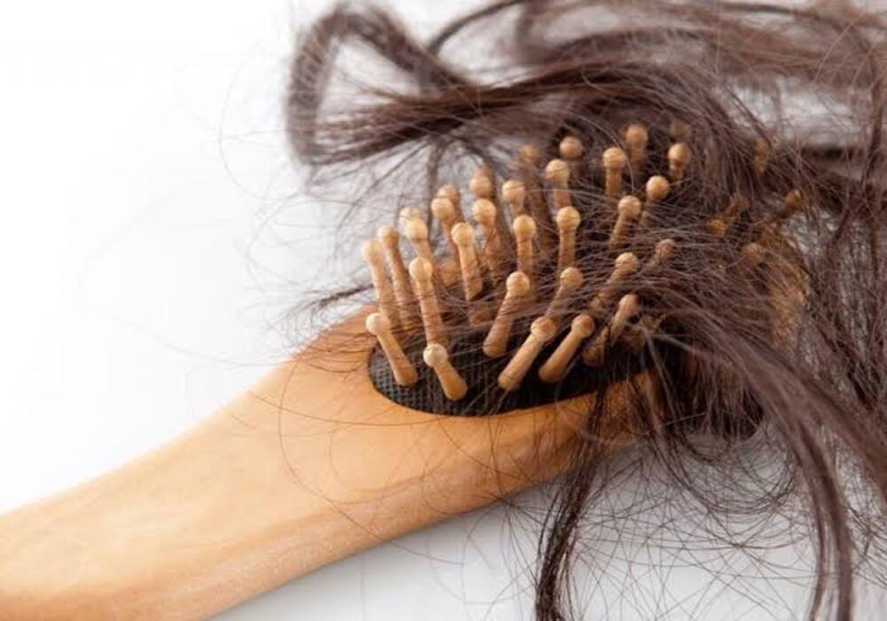 أعشاب لعلاج تساقط الشعر