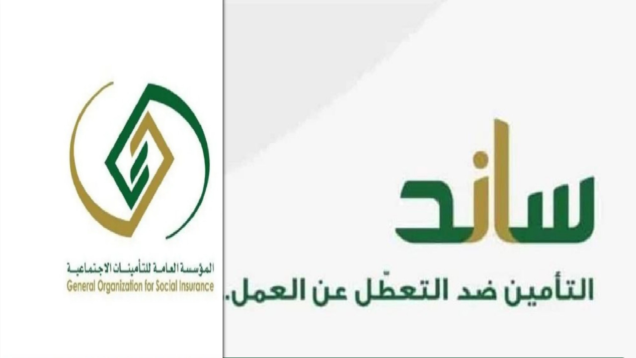 أهلية نظام ساند