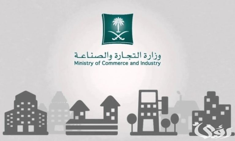 الاستعلام عن بيانات سجل تجاري