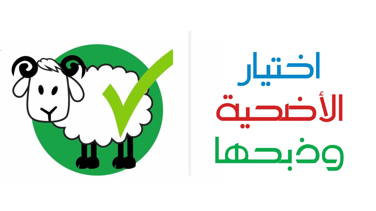 شروط اختيار أضحية العيد
