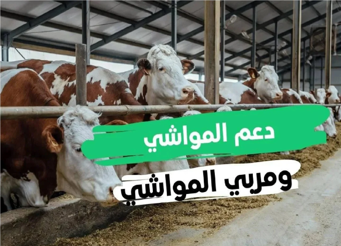 التسجيل في دعم المواشي 1446ه