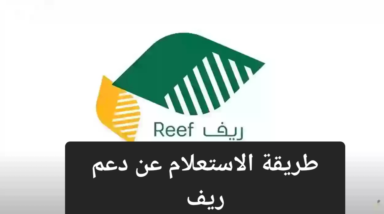 خطوات الاستعلام عن دعم ريف