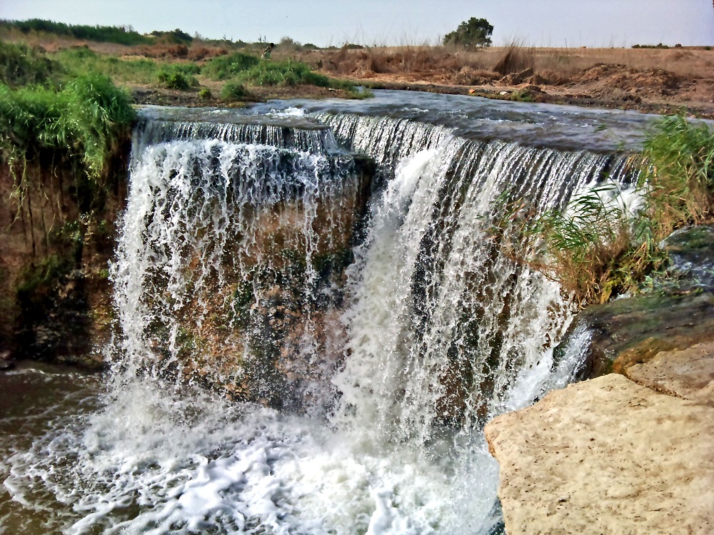 الاستعداد بالمحميات الطبيعة