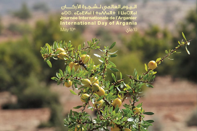 اليوم العالمي لشجرة الاركان