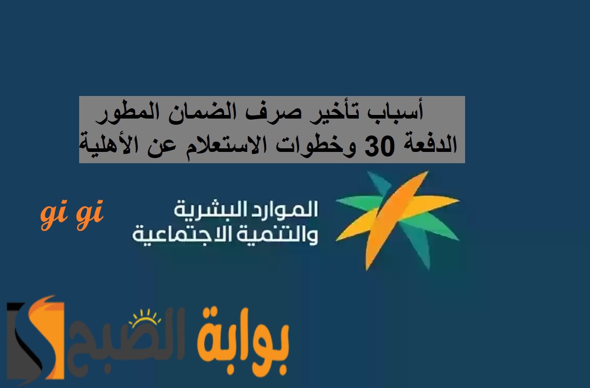 اهلية الضمان المطور