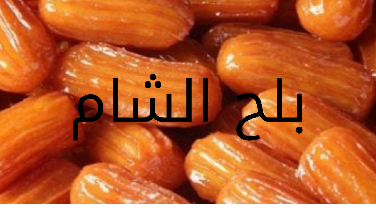 بلح الشام 20240523 041836 0000