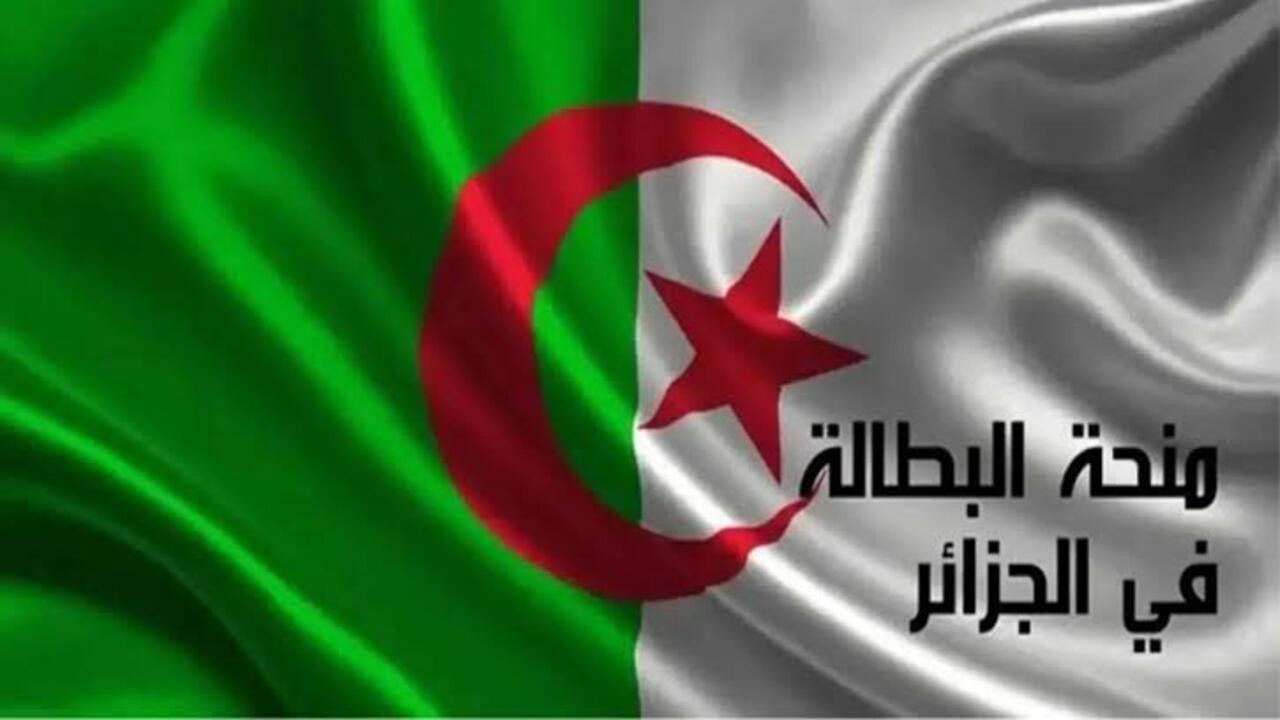 تجديد منحة البطالة في الجزائر 4