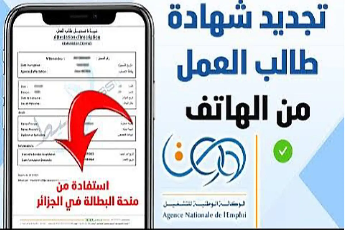 تجديد منحة البطالة كل 6 أشهر