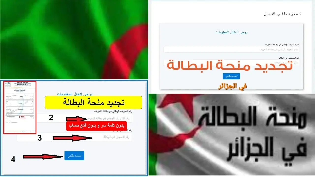 خطوات تجديد منحة البطالة في الجزائر 2024
