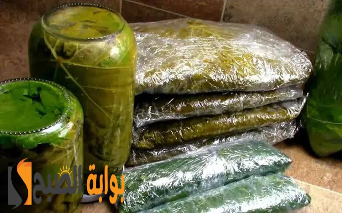 تخزين ورق العنب