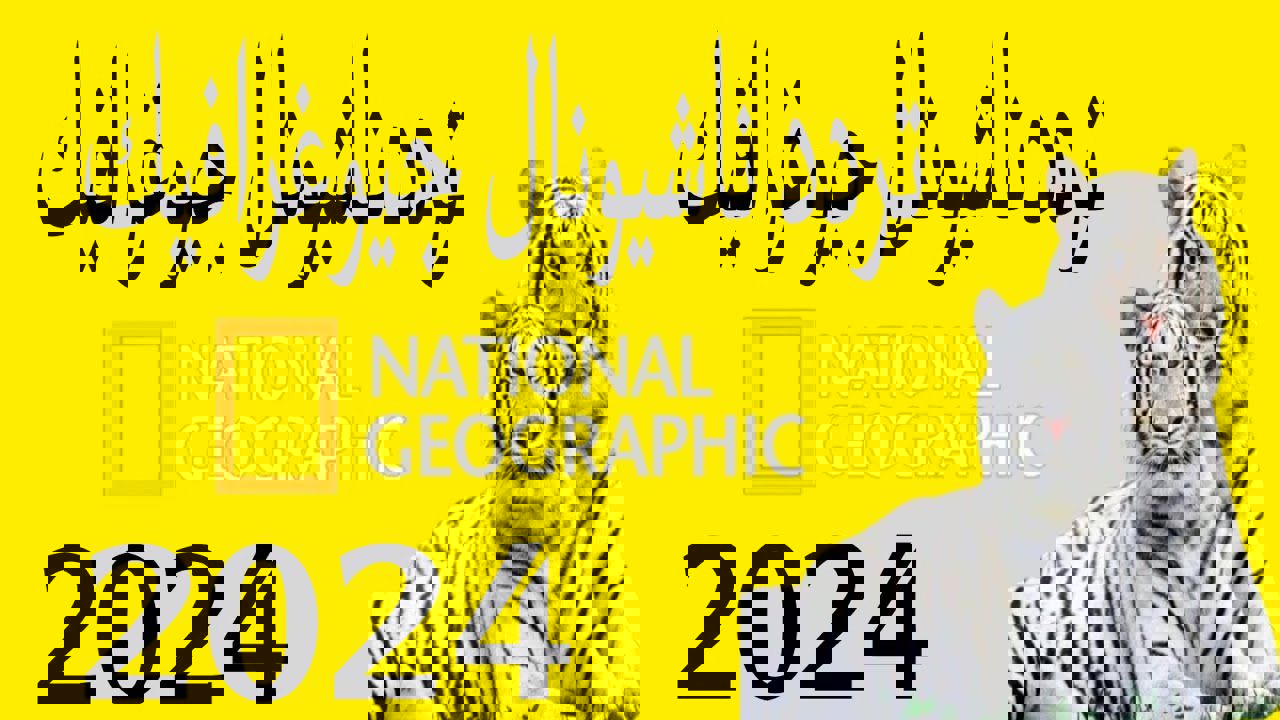 تردد قناة ناشيونال جيوغرافيك نايل سات 2024
