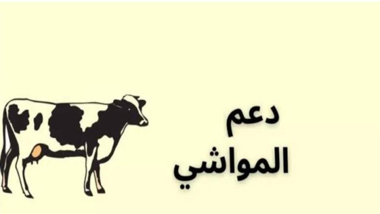 تسجيل دعم المواشي