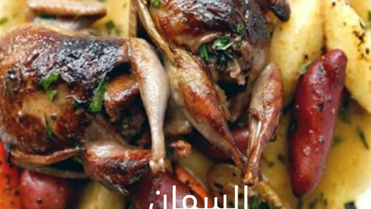 تصميم بدون عنوان 20240520 065019 0000