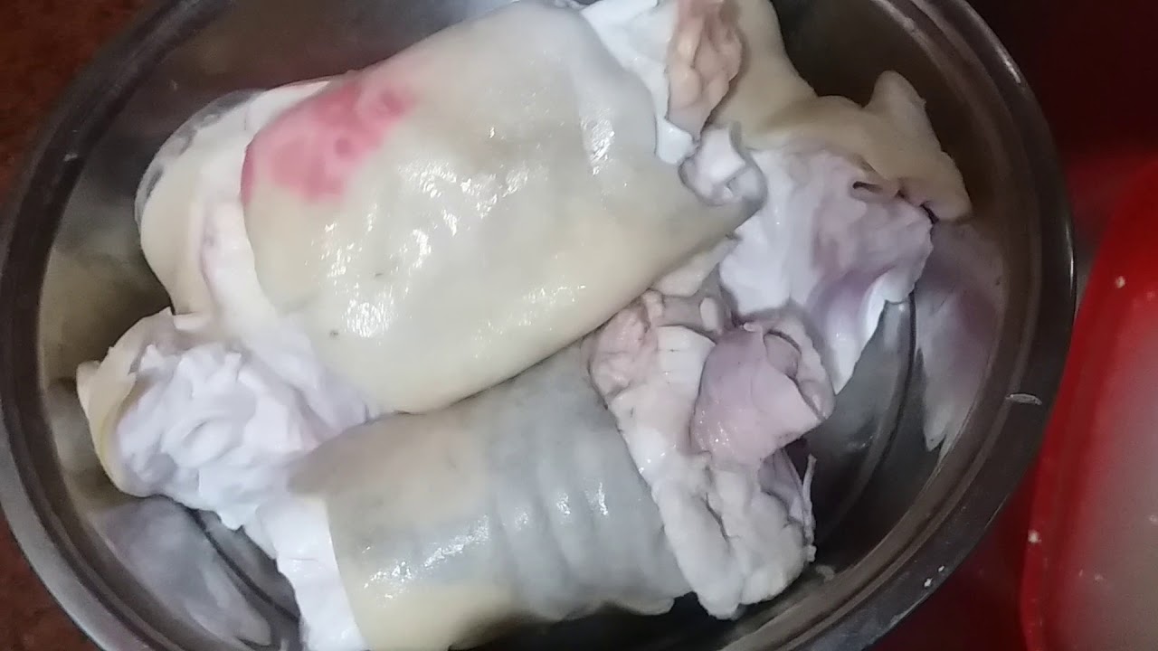 تنظيف الكوارع