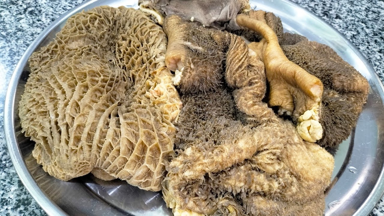 تنظيف الكرشة
