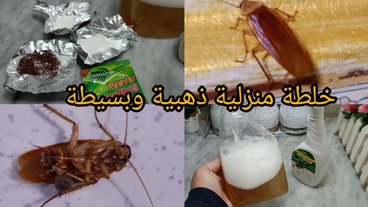خلطة سحرية للتخلص من الصراصير والنمل