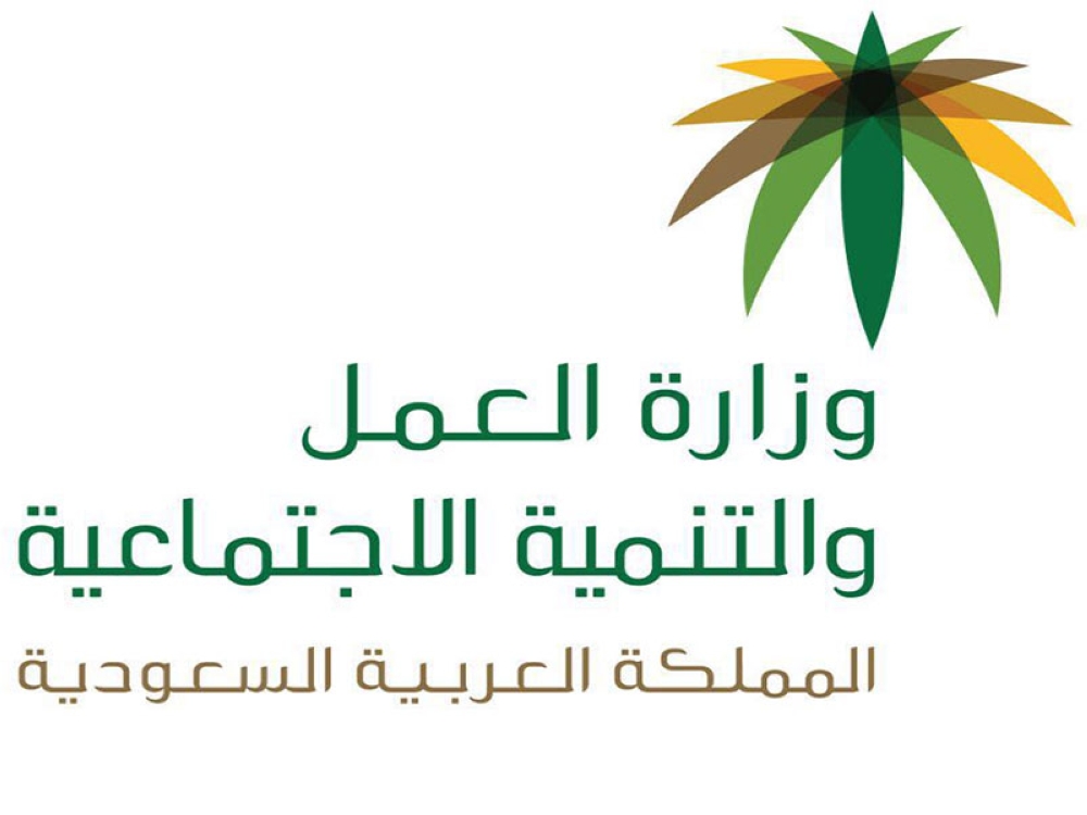دعم الضمان الاجتماعي المطور