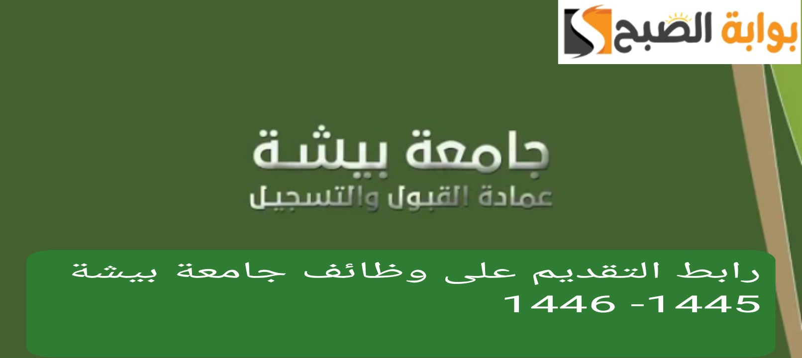 رابط التقديم على وظائف جامعة بيشة 1445 1446