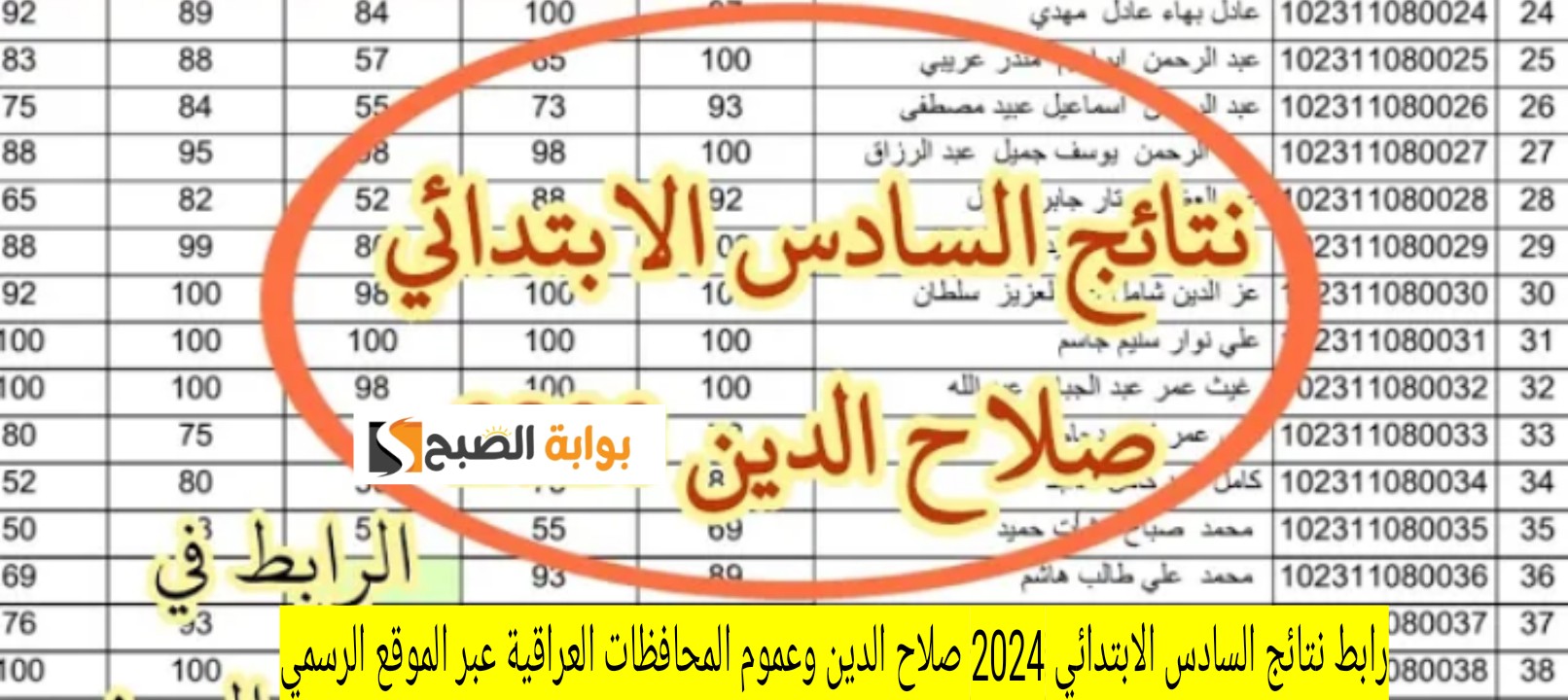 رابط نتائج السادس الابتدائي 2024 صلاح الدين وعموم المحافظات العراقية عبر الموقع الرسمي