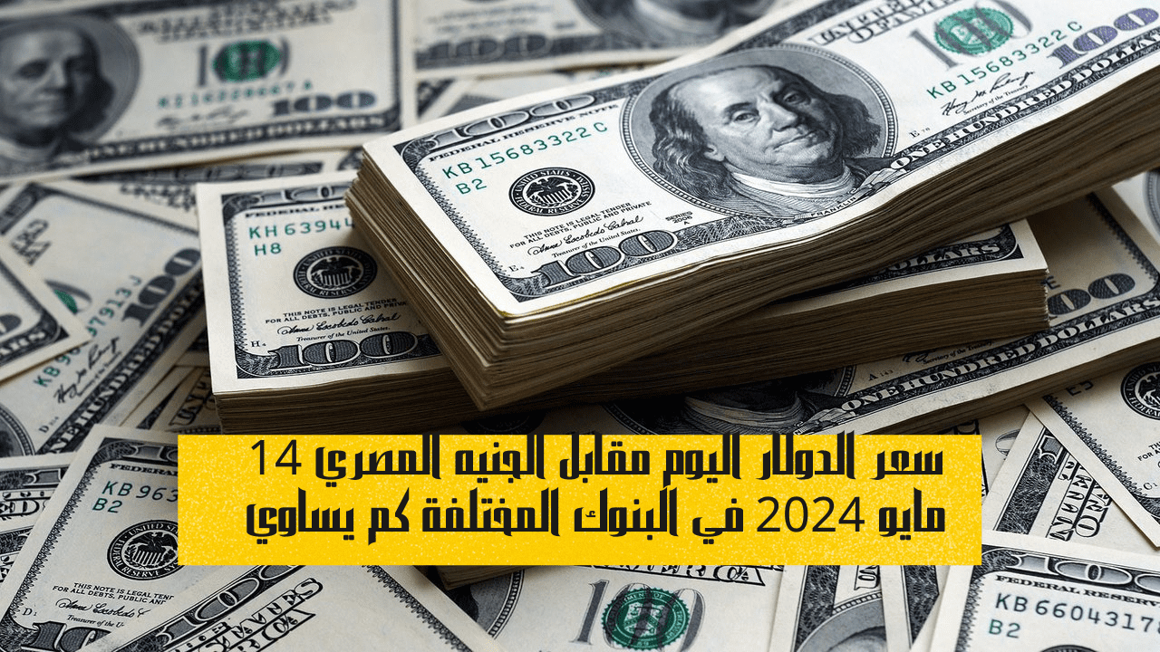 سعر الدولار اليوم مقابل الجنيه المصري