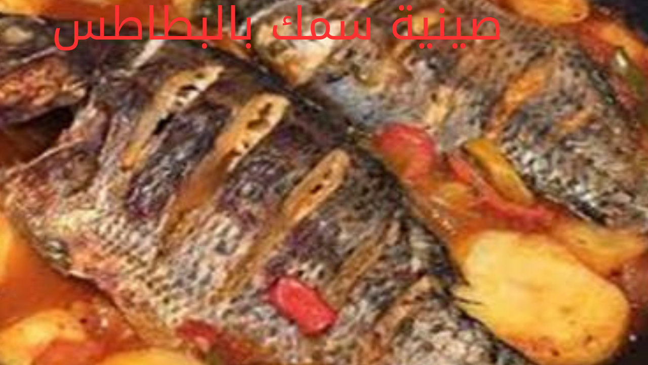 سمك 1