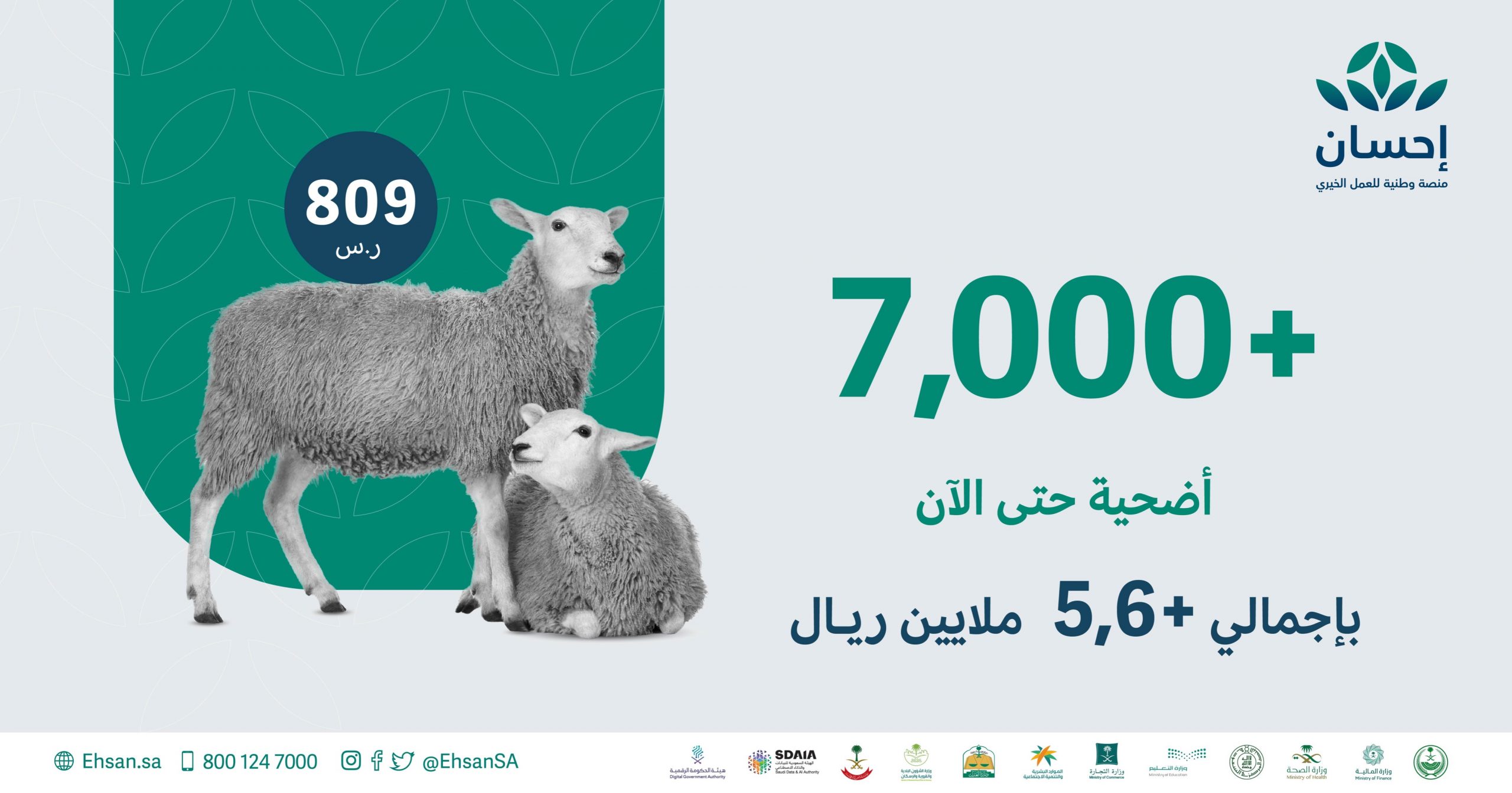 شراء أضحية