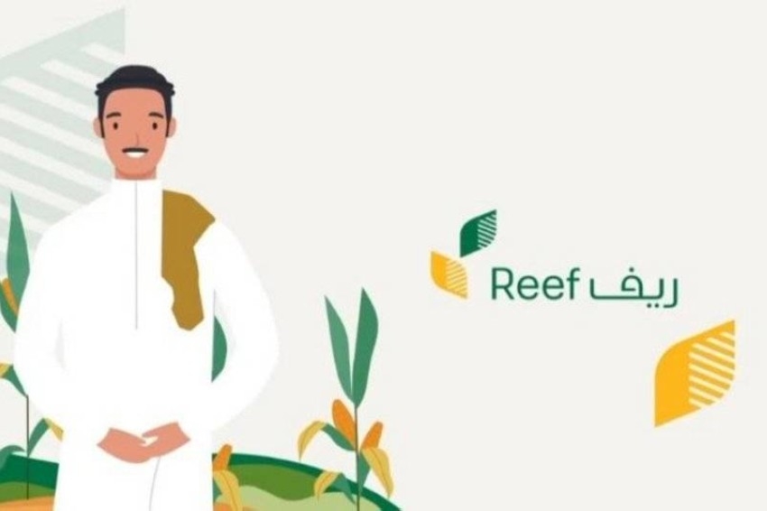 شروط استحقاق دعم ريف