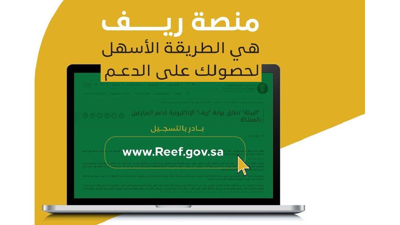 شروط دعم برنامج ريف وكيفية الاستعلام عن استحقاق الدعم لشهر مايو 2024