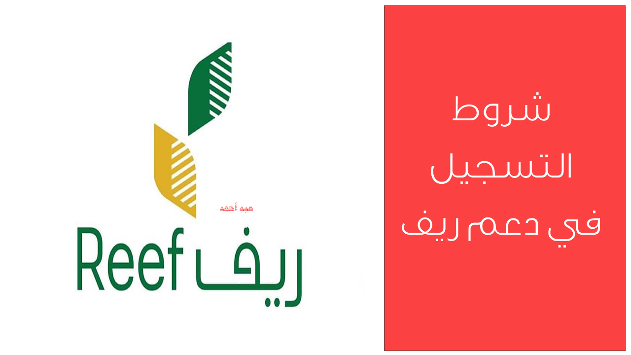 شروط دعم ريف